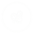 U.S Laillé Pétanque